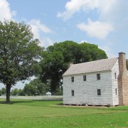 IMG1595.jpg