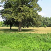 IMG1626.jpg