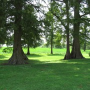 IMG1628.jpg