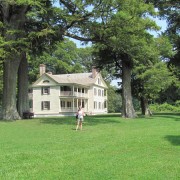 IMG1642.jpg