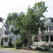 IMG1666.jpg