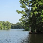 IMG1667.jpg