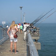 IMG1715.jpg