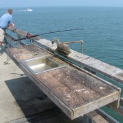 IMG1717.jpg
