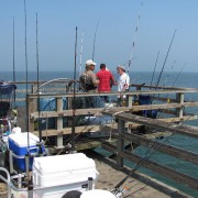 IMG1720.jpg