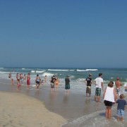 IMG1732.jpg