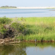 IMG1746.jpg