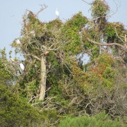 IMG1748.jpg