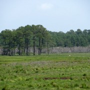 IMG1830.jpg
