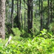 IMG1836.jpg