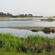 IMG1863.jpg