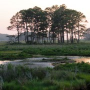 IMG1869.jpg