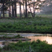 IMG1871.jpg