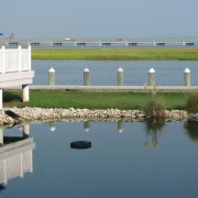 IMG1889.jpg