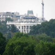 IMG1929.jpg