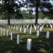 IMG1941.jpg