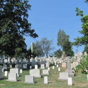 IMG1964.jpg