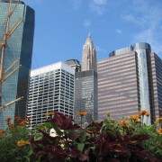 IMG2232.jpg