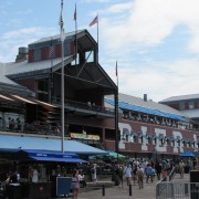 IMG2236.jpg
