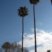 IMG2759.jpg