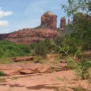 IMG2791.jpg