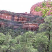 IMG2838.jpg
