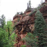 IMG2869.jpg