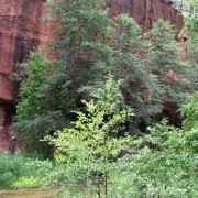IMG2870.jpg