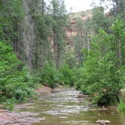 IMG2875.jpg