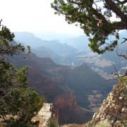 IMG2930.jpg