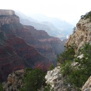 IMG2933.jpg