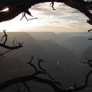 IMG2966.jpg