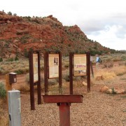 IMG3113.jpg