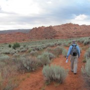 IMG3119.jpg