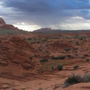 IMG3123.jpg