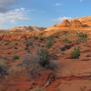 IMG3129.jpg