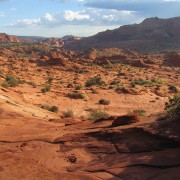 IMG3131.jpg