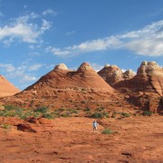 IMG3135.jpg