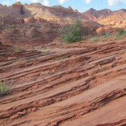 IMG3137.jpg