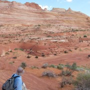 IMG3140.jpg