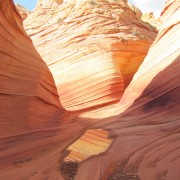IMG3146.jpg
