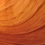 IMG3157.jpg