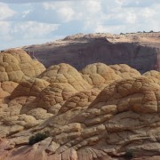 IMG3193.jpg