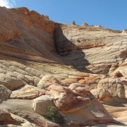 IMG3212.jpg