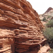 IMG3223.jpg