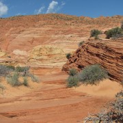 IMG3224.jpg