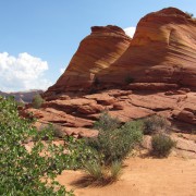 IMG3239.jpg