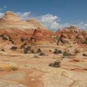 IMG3246.jpg