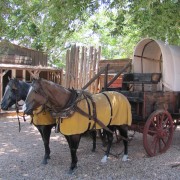 IMG3259.jpg