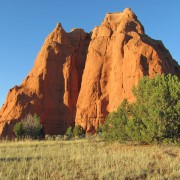IMG3278.jpg